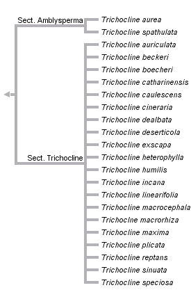 taxon links