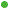 green leaf node